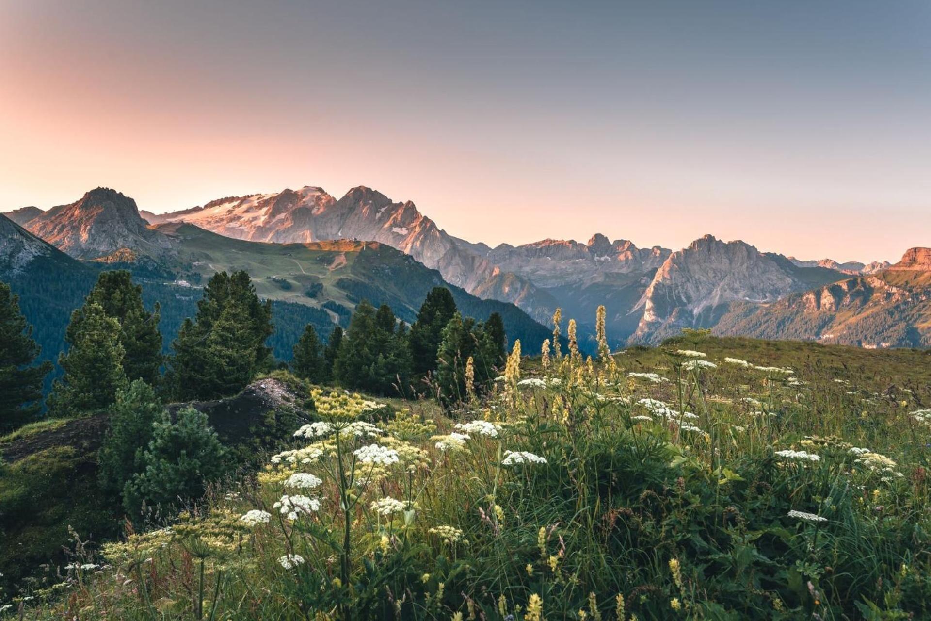 B&B Cesa Planber Mountain View Bike Friendly Canazei Exterior foto